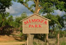 polonezköy mimoza park
